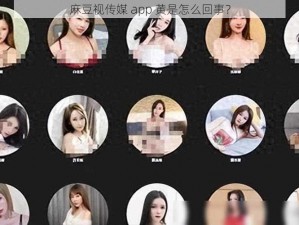 麻豆视传媒 app 黄是怎么回事？