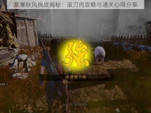 紫塞秋风挑战揭秘：滚刀肉攻略与通关心得分享