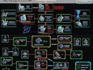 星际争霸 2 三大种族冲白金攻略详解：策略与技巧分享