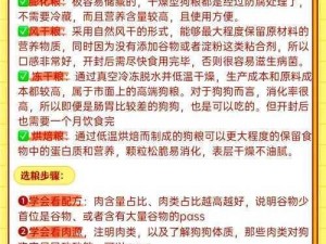 十二战纪狗粮作用详解及获取方法全面介绍