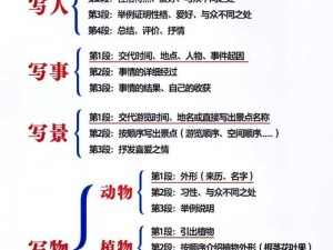 语文课代表让我 C 她，你能想象这是一款什么样的产品吗？