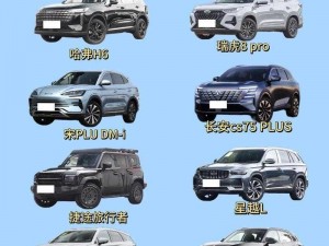 为什么欧洲版国产 SUV 更适合中国市场？