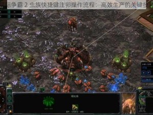 星际争霸 2 虫族快捷键注卵操作流程：高效生产的关键技巧