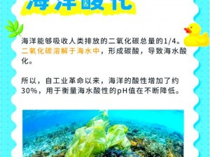 珊瑚岛找谁去盖温室？探索解决之道