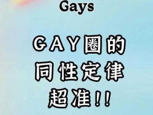 在 WWW.Gay Chinese 上如何找到适合自己的同志社交圈子？