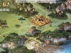 《三国志战棋版》飞沙走石：策略游戏中的独特技能效果