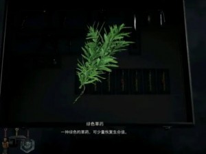 生化危机4重制版黄草药应用策略与最佳使用指南