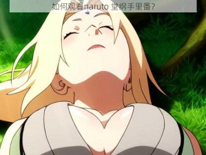 如何观看naruto 堂纲手里番？