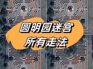 太极迷阵第52关攻略详解：破解迷宫的秘密与策略分享