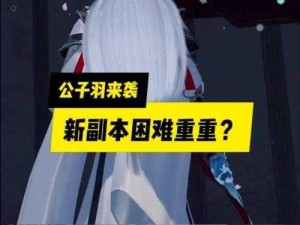 天涯明月刀手游黑衣公子羽攻略：战斗策略详解与终极击败指南