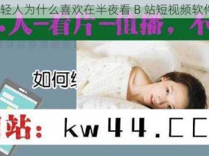 年轻人为什么喜欢在半夜看 B 站短视频软件？