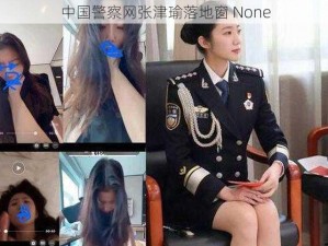 中国警察网张津瑜落地窗 None