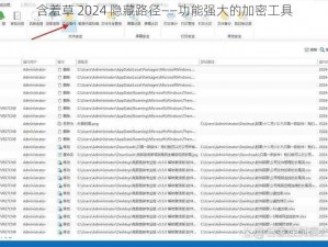 含羞草 2024 隐藏路径——功能强大的加密工具