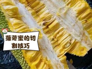 菠萝蜜进口路线6区二有限公司【菠萝蜜进口路线 6 区二有限公司在进口业务方面有哪些优势？】