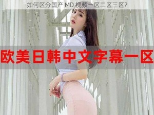 如何区分国产 MD 视频一区二区三区？