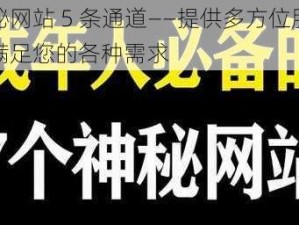 神秘网站 5 条通道——提供多方位服务，满足您的各种需求