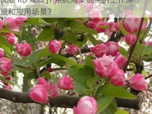 优质RB灌溉JY系统海棠沉芙;请详细介绍一下优质 RB 灌溉 JY 系统海棠沉芙的工作原理和应用场景？