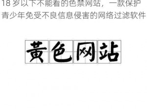 18 岁以下不能看的色禁网站，一款保护青少年免受不良信息侵害的网络过滤软件