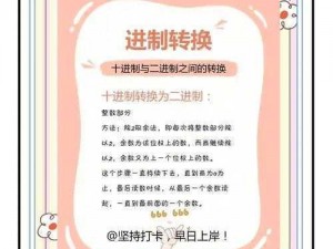 二进制领域视频攻略：从零开始，教你成为游戏高手