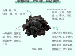 国精产品一二三四区产品,请详细介绍国精产品一二三四区产品的特点及优势