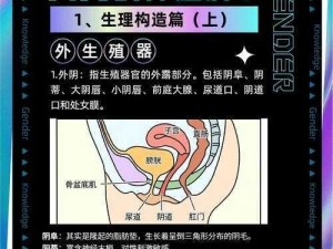 成人讨论区有哪些规则？如何正确使用成人讨论区？怎样在成人讨论区中保护个人隐私？