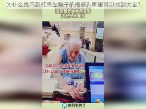 为什么找不到打牌生猴子的视频？哪里可以找到大全？