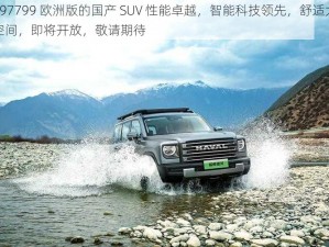 497799 欧洲版的国产 SUV 性能卓越，智能科技领先，舒适大空间，即将开放，敬请期待