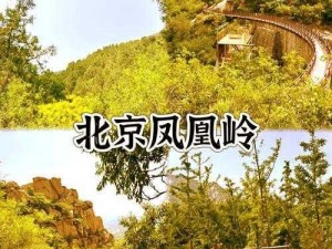 霜火岭【请详细描述霜火岭的地理位置、自然景观及人文特色等相关内容】