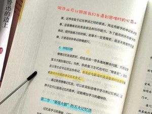 最强大脑第28关攻略详解：通关策略与技巧全解析