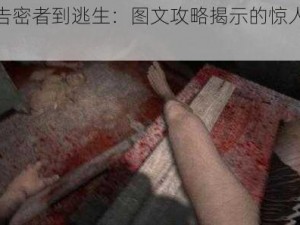 从告密者到逃生：图文攻略揭示的惊人秘密