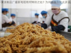 九一果冻制品厂最新电视有何特别之处？为何能吸引如此多消费者？