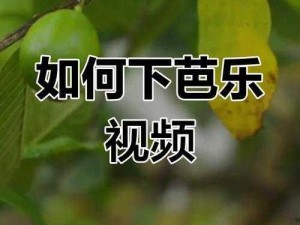 欢迎进入芭乐 APP 下载网站，这里有丰富的视频资源，让你轻松享受高品质的视觉体验