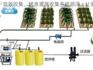 创新设计，高效收集，精准灌溉收集系统顾泽，让灌溉更智能