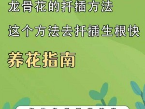 紫龙插花芯为什么会方正？有什么方法可以解决？