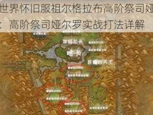 魔兽世界怀旧服祖尔格拉布高阶祭司娅尔罗攻略：高阶祭司娅尔罗实战打法详解