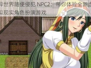 异世界随便侵犯 NPC2：带你体验全新虚拟现实角色扮演游戏