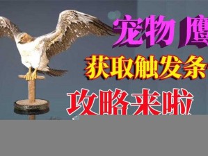 在《黑色沙漠手游》中，如何完成宠物鹰任务