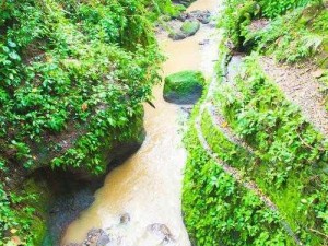 手慢慢游走往下穿过丛林、手慢慢游走往下穿过丛林，这样的感受究竟是怎样的？