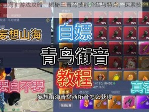 《妄想山海》游戏攻略：揭秘三青鸟技能介绍与特点，探索技能魅力深度解析