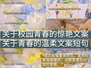 十七岁女生的温柔燃烧吧少年;十七岁女生的温柔燃烧吧少年，她的青春故事该如何书写？