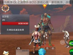 《混沌与秩序 OL 主盾野外 BOSS 游戏心得：掌控秩序，战胜混沌》