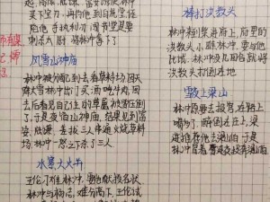 异次元英雄传林冲武将分析：探究其独特技能与战斗策略