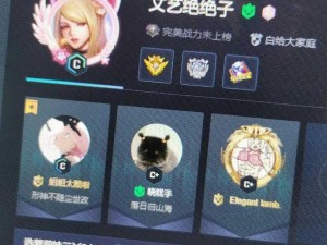 暴躁妹妹 csgo 蘑菇——的游戏体验助力