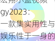 宏翔小蓝视频 gy2023：一款集实用性与娱乐性于一身的视频产品