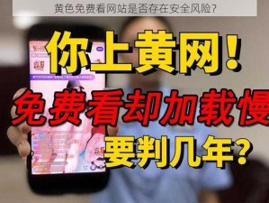 黄色免费看网站是否存在安全风险？