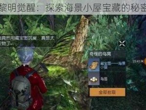 黎明觉醒：探索海景小屋宝藏的秘密