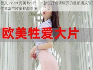 人善交 video 另类 hd 欧：一款主打高清画质的视频播放软件，提供丰富的欧美视频资源