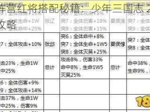 群雄阵营红将搭配秘籍：少年三国志 2 高手进阶攻略