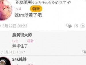 小 SB 几天没做为什么会 SAO 死了 H？