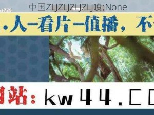 中国ZLJZLJZLJZLJ喷;None